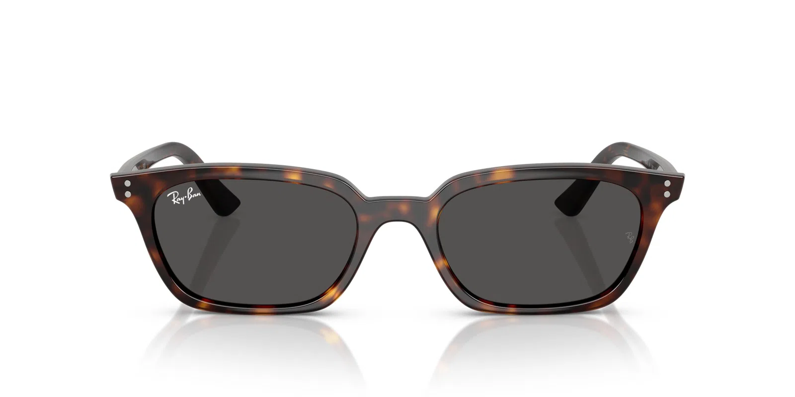 Ray-Ban Zaya 4456 Sunglasses - view 41